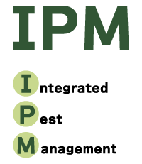 imp̐